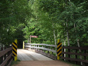 Bridge along the Bearskin Trail in Minocqua
