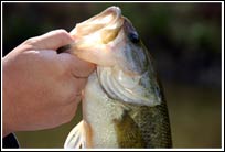 Fishing in Minocqua, Wisconsin